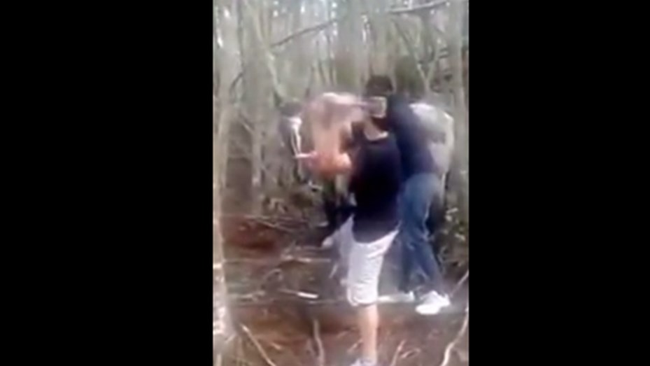 Van a juicio por maltrato animal por matar a martillazos a un caballo | Actualidad