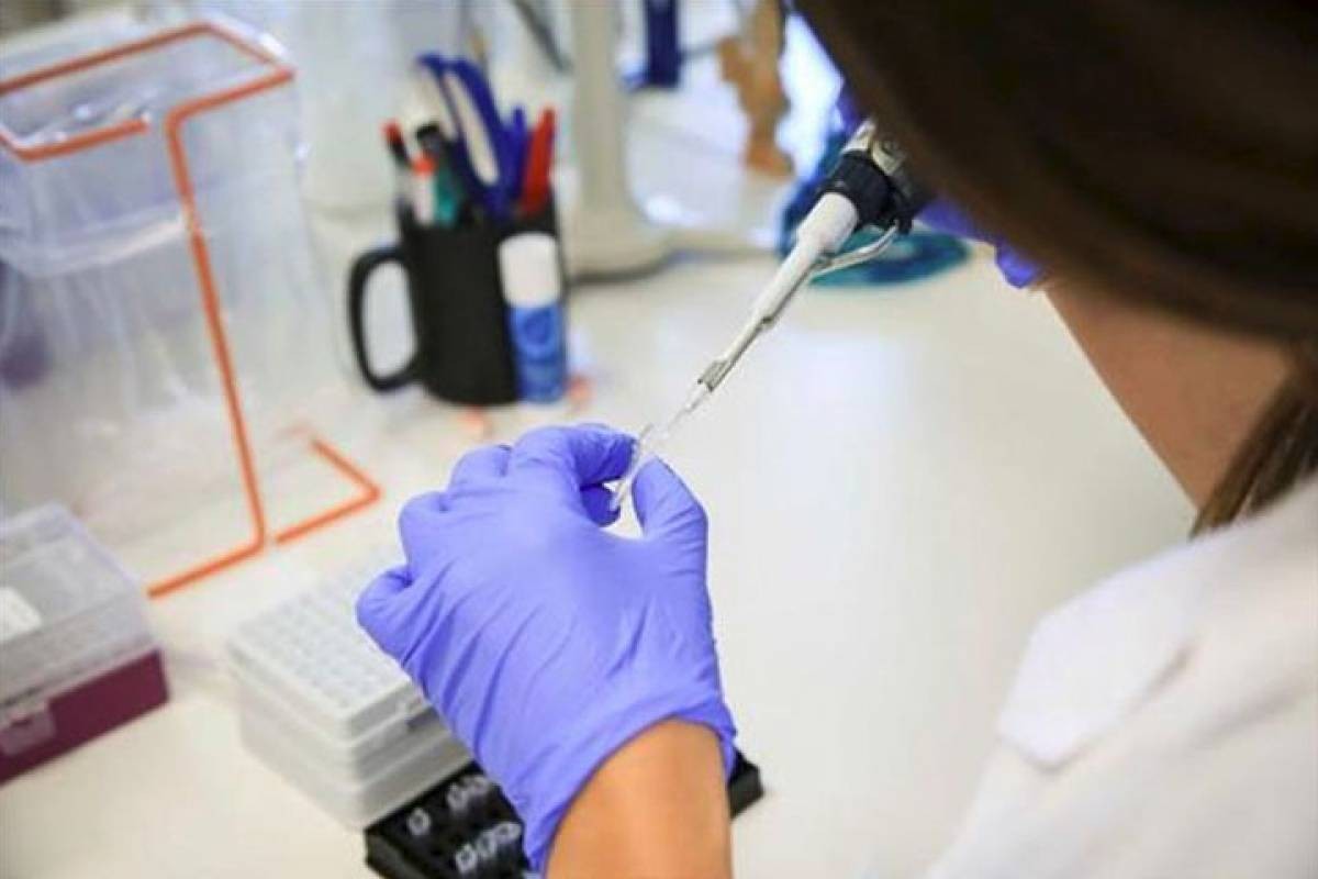 Se triplicaron los casos de sífilis en el país durante los últimos años | Actualidad