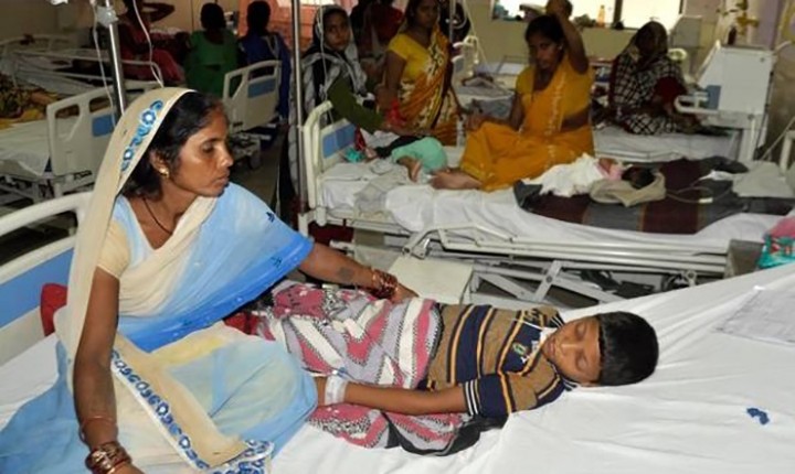 Murieron 31 niños en la India por una enfermedad vinculada a una fruta tropical | Internacionales