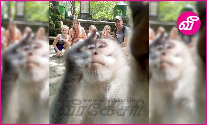 El mono que se suma a la selfie de una familia de turistas | Redes