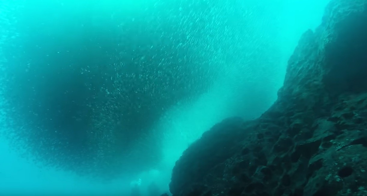 Científicos chilenos alcanzaron los 8.081 metros de profundidad en la Fosa de Atacama | Internacionales