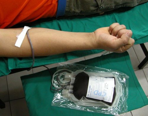 #UnaMédulaParaAle: estudiantes de Medicina impulsan campaña solidaria para salvarle la vida a un compañero | Actualidad