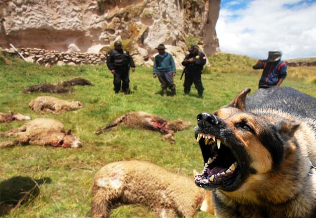 Se estrena documental que muestra el drama de los perros salvajes de Tierra del Fuego | Espectáculos