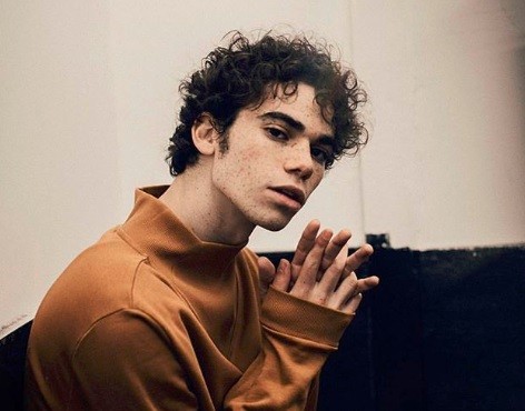 La última foto que compartió en sus redes Cameron Boyce | Espectáculos