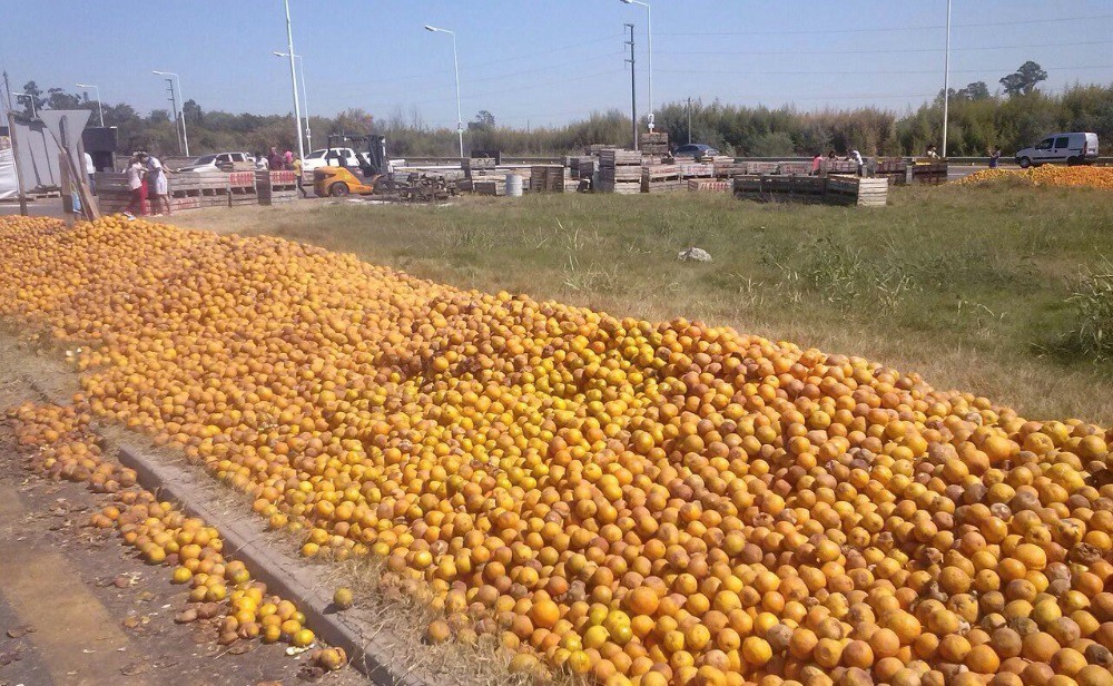 Citricultores arrojaron más de 35 toneladas de naranjas en la ruta 14 | Actualidad