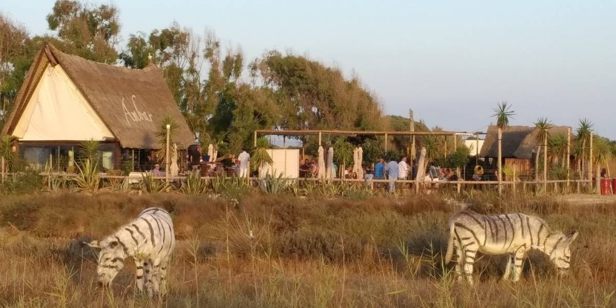 El extraño zoológico de España en el que pintaron burros para que parezcan cebras | Curiosidades