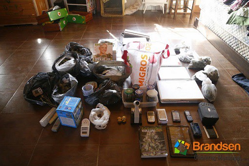 Detuvieron a un suizo que tenía un vivero de marihuana en Brandsen | Actualidad