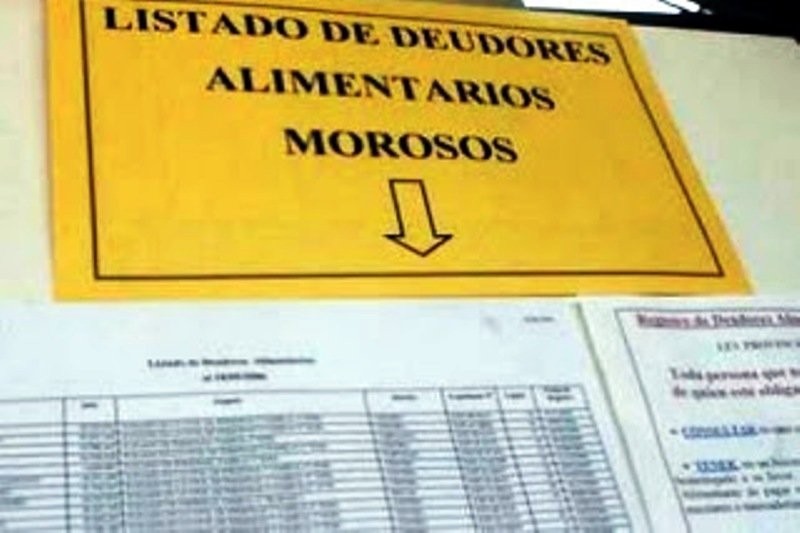 El Senado aprobó el proyecto de registro de deudores alimentarios | Actualidad