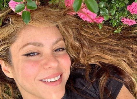 La foto polémica de Shakira en sus vacaciones: duras críticas en la redes sociales | Espectáculos