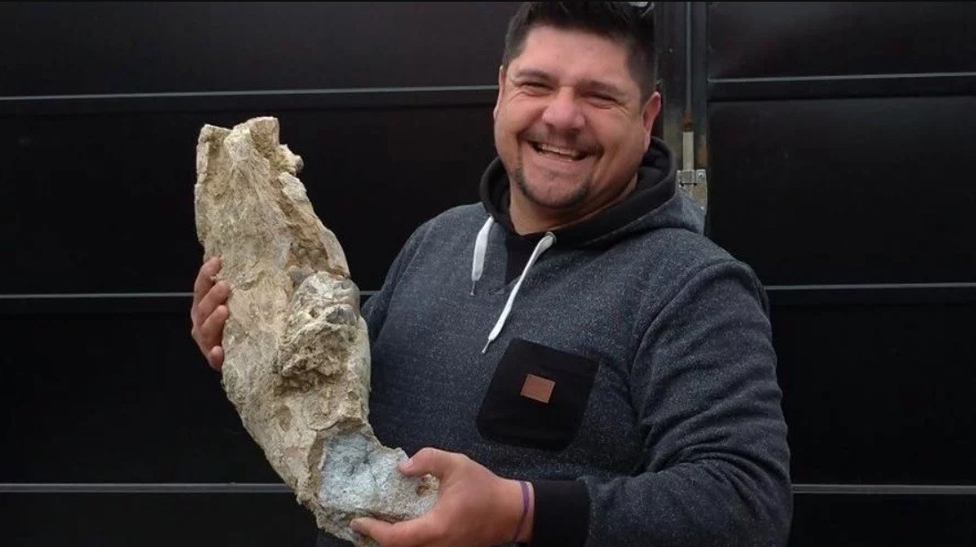 Berisso: compró tierra y encontró restos de un animal prehistórico | Actualidad