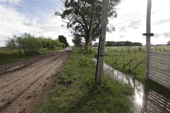 La Plata: quinteros armados patrullarán con sus autos para protegerse | Actualidad