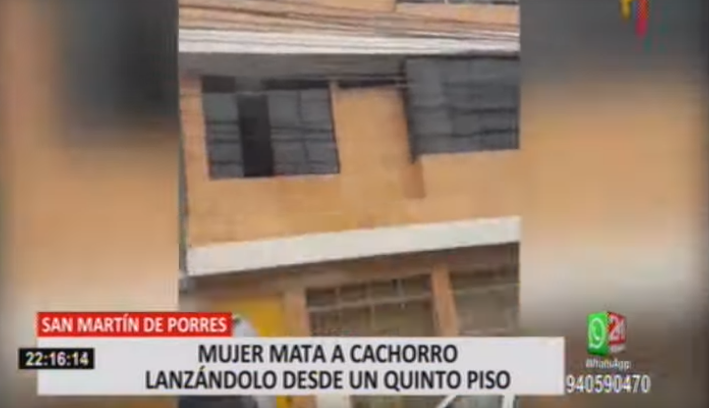 Indignante: tiró a un perro de un quinto piso, lo mató y aseguró que "no quiso hacerlo" | Internacionales