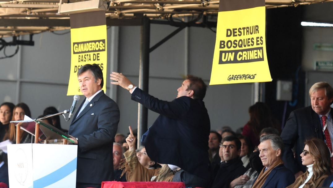El Gobierno denunció penalmente a Greenpeace | Política