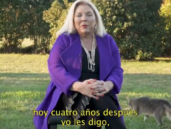 Un gato protagonizó el último spot de campaña de Carrió | Elecciones 2019
