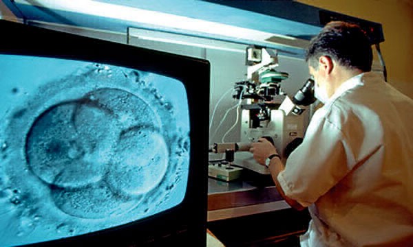 Ordenan a prepaga cubrir tratamiento de fertilización a mujer de 46 años y sin pareja actual | Actualidad