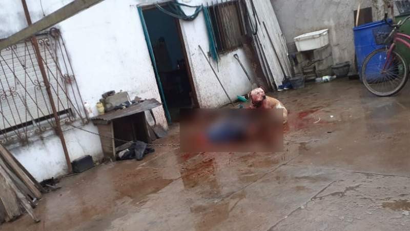 Murió un joven con Síndrome de Down al ser atacado por su perro pitbull | Actualidad