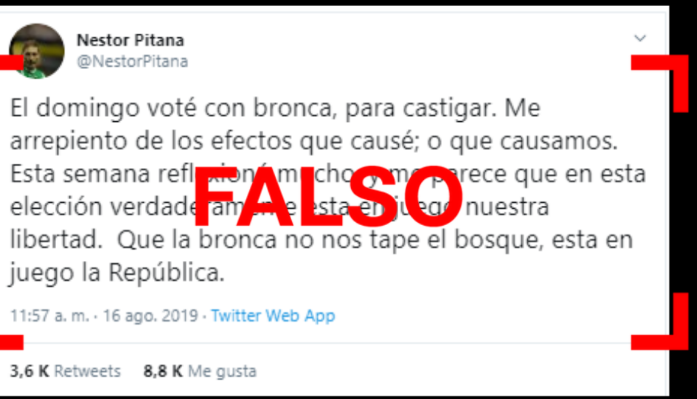 Es falso el tuit de Pitana en donde señala que votó “con bronca” contra el Gobierno | Elecciones 2019