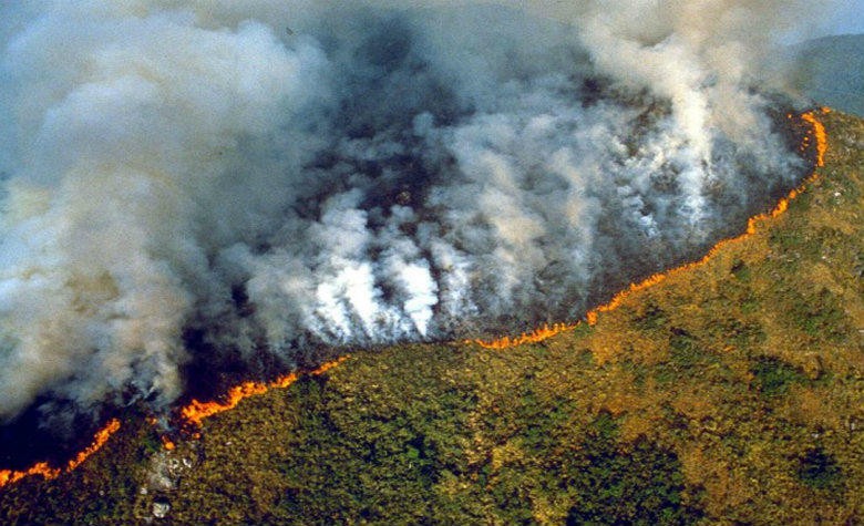 El video impactante del incendio que amenaza la selva del Amazonas | Internacionales