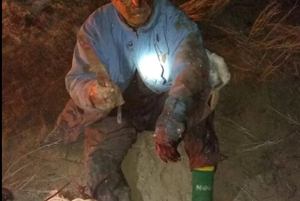 Río Negro: luchó y mató a un puma para salvarle la vida a su perro | Actualidad