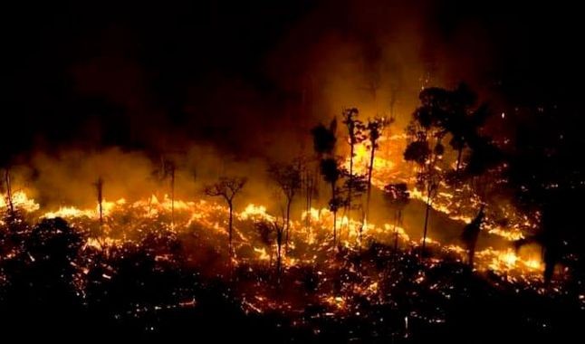 Bronca en las redes por la poca cobertura al incendio en el Amazonas comparado con Notre Dame | Internacionales