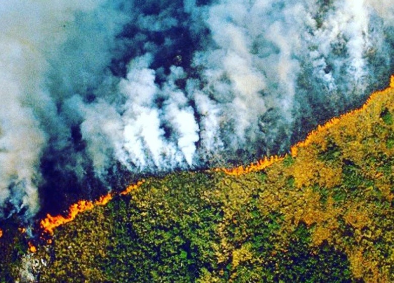 Imágenes engañosas: famosos que contribuyen a desinformar sobre los incendios en el Amazonas | Internacionales
