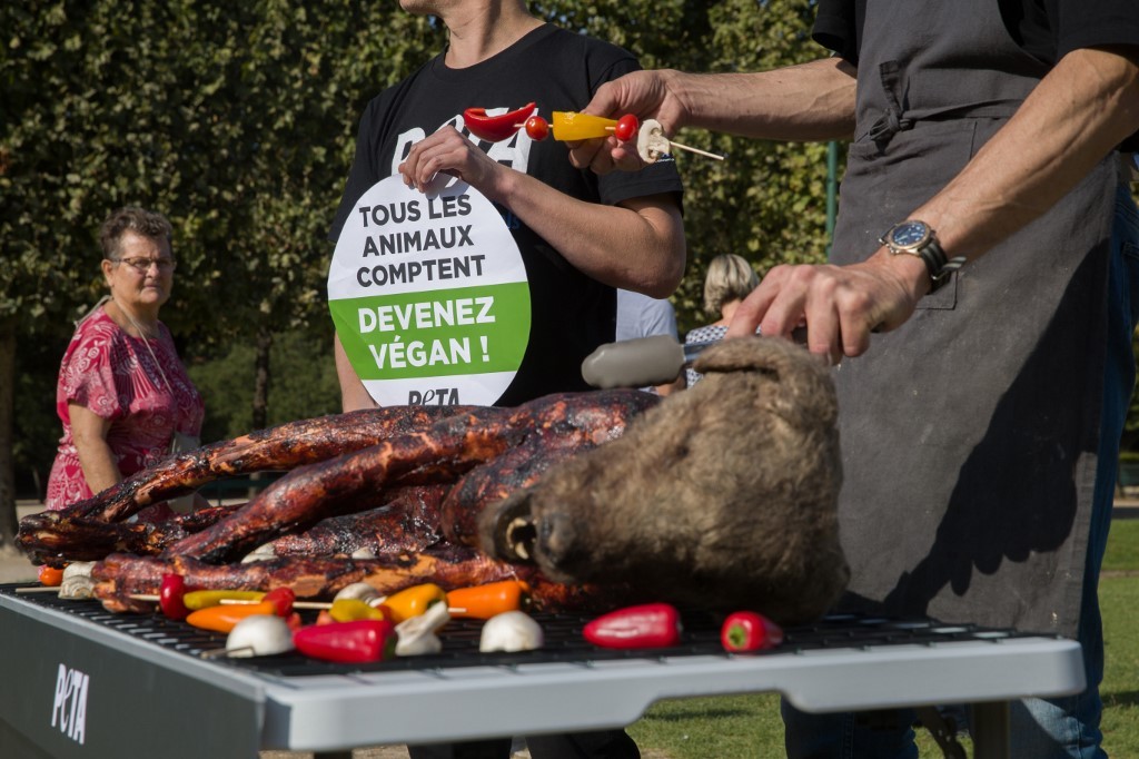 "Perro o cerdo: ¿cuál es la diferencia?": impactante campaña vegana | Internacionales