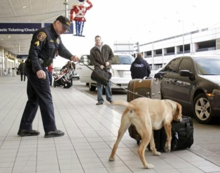 Viajó a EE.UU. con tres botellas de miel y estuvo detenido 82 días porque creyeron que llevaba metanfetamina líquida | Internacionales