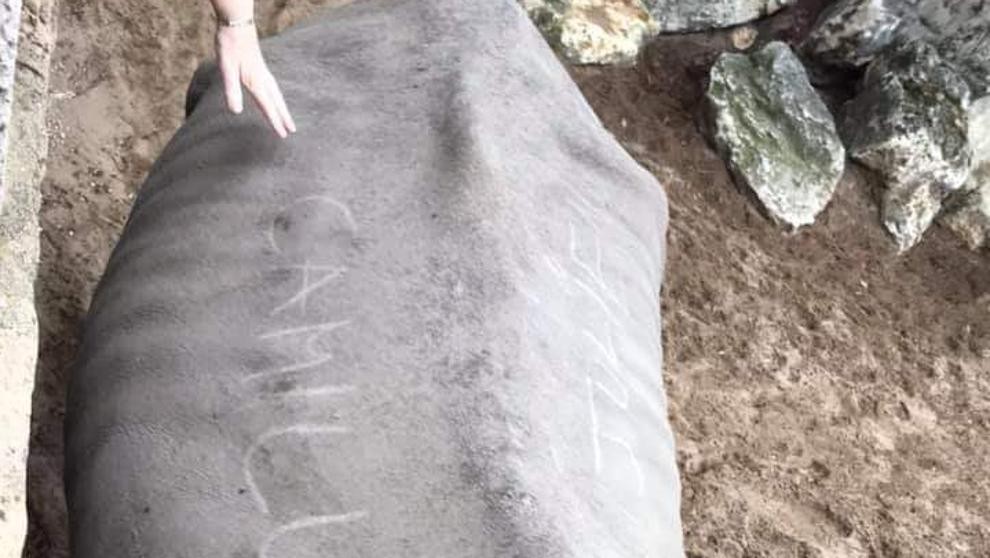 Dos jóvenes escribieron sus nombres en el lomo de un rinoceronte | Curiosidades