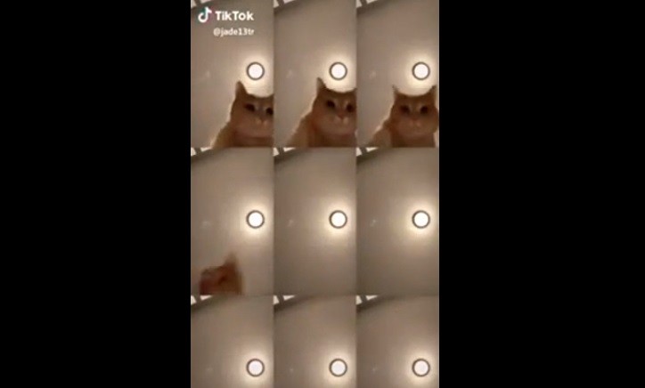 #MrSandmanChallange el nuevo desafío viral que es furor en las redes | Redes