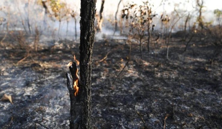 El humo de los incendios del Amazonas ya cubre gran parte de Argentina | Actualidad