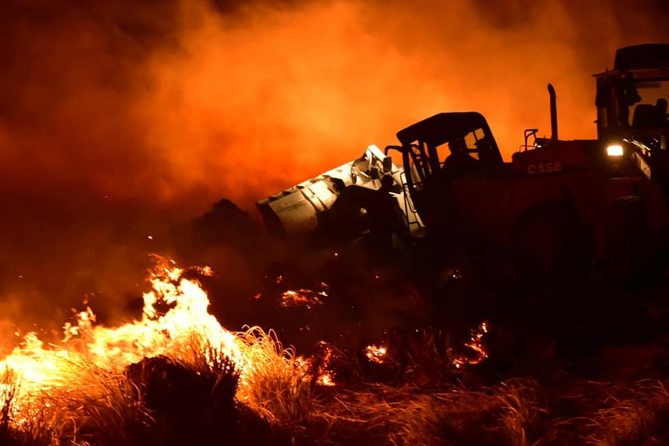 Neuquén: un voraz incendio forestal sacude a Zapala | Actualidad