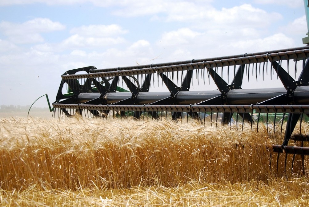 El Banco Central limita el crédito a exportadores para que vendan sus dólares | Economía