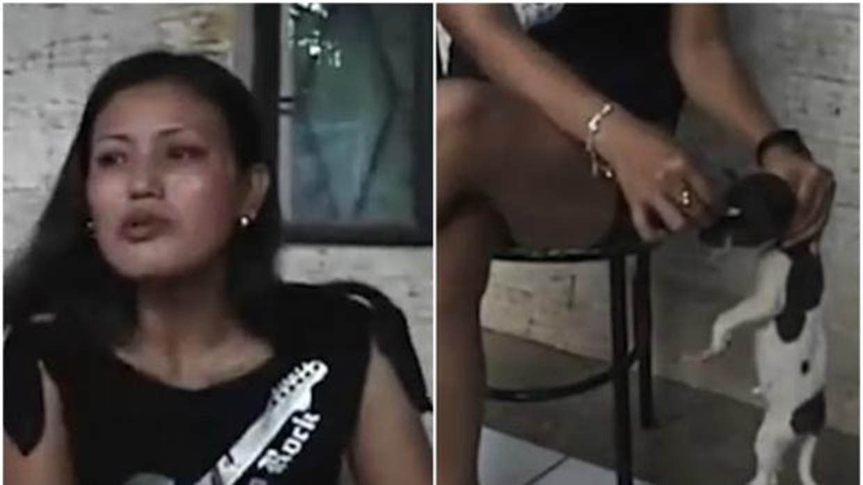 Horror por un video en el que una mujer apaga un cigarrillo en el ojo de un perrito | Internacionales