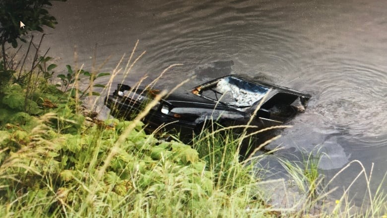 Un chico con una GoPro ayudó a resolver un misterio de 1992 en Canadá | Internacionales