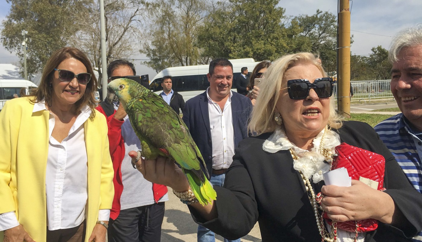 Elisa Carrió pidió liberar a Julio De Vido: "Aunque es el mayor ladrón de la Argentina" | Política
