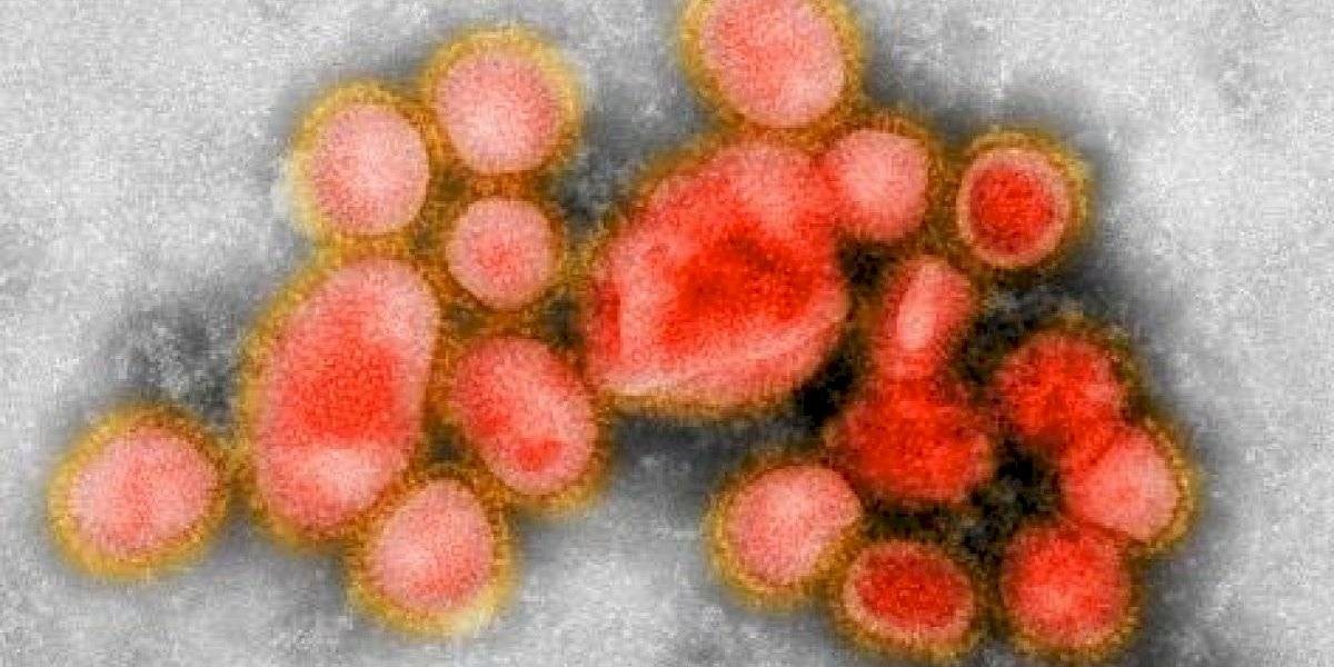 Expertos que una pandemia podría circular por el mundo en 36 horas y matar a 50 millones de personas | Internacionales