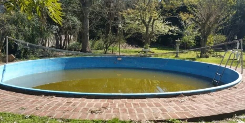 Vacían la pileta de la quinta de Chascomús para buscar el celular de Navila | Actualidad