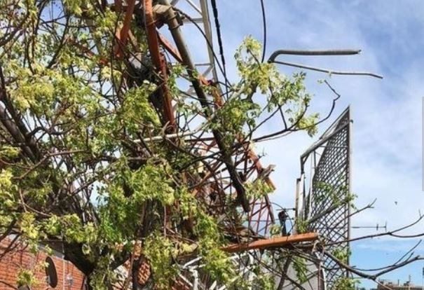 La Plata: cayó una antena sobre un stud del hipódromo y murió un caballo | Actualidad