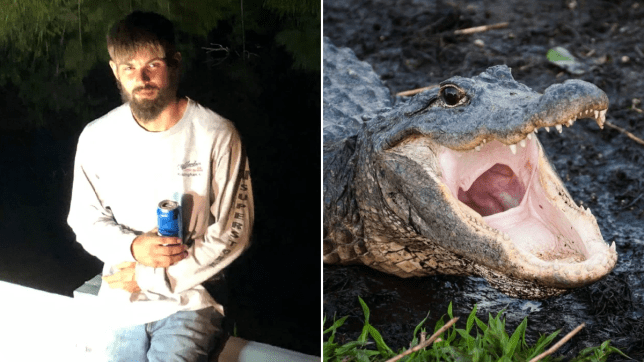 Intentó emborrachar a un cocodrilo: terminó mordido y detenido | Curiosidades