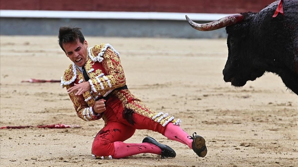 Video: el torero Gonzalo Caballero sufrió una dramática cornada | Internacionales
