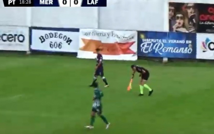 Video: tuvieron que parar un partido de Primera C por un ataque de teros | Deportes