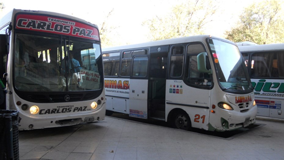 Córdoba tendrá transporte gratis el domingo para ir a votar | Elecciones 2019