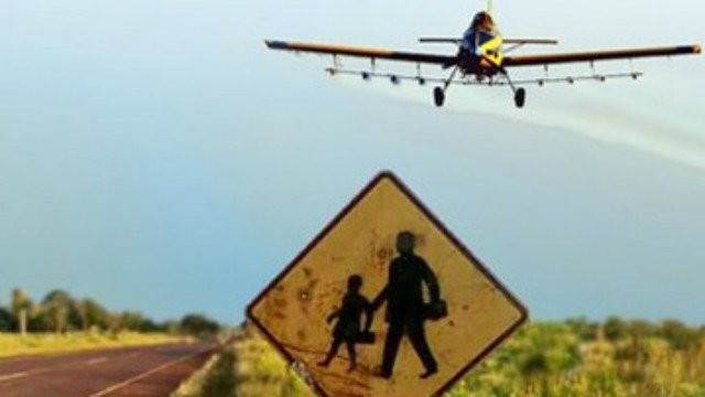 Entre Ríos: fallo judicial permite fumigar con agrotóxicos a 150 metros de escuelas rurales | Actualidad