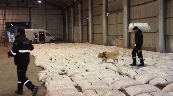 Encontraron 77 kilos de cocaína en un monte de Santiago del Estero | Actualidad