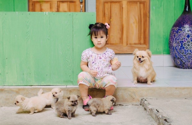 Así es la nueva fórmula para comparar la edad de tu perro con la tuya | Actualidad