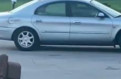 Video: el perro activó un auto en reversa y estuvo una hora dando vueltas sin control | Curiosidades