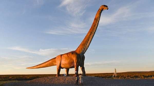 Hallan restos fósiles de un Titanosaurio en Neuquén: cada vértebra pesaba 200 kilos | Actualidad