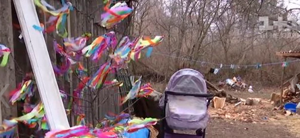 Un gato mató a un bebé: saltó sobre el cochecito y lo asfixió mientras dormía | Curiosidades