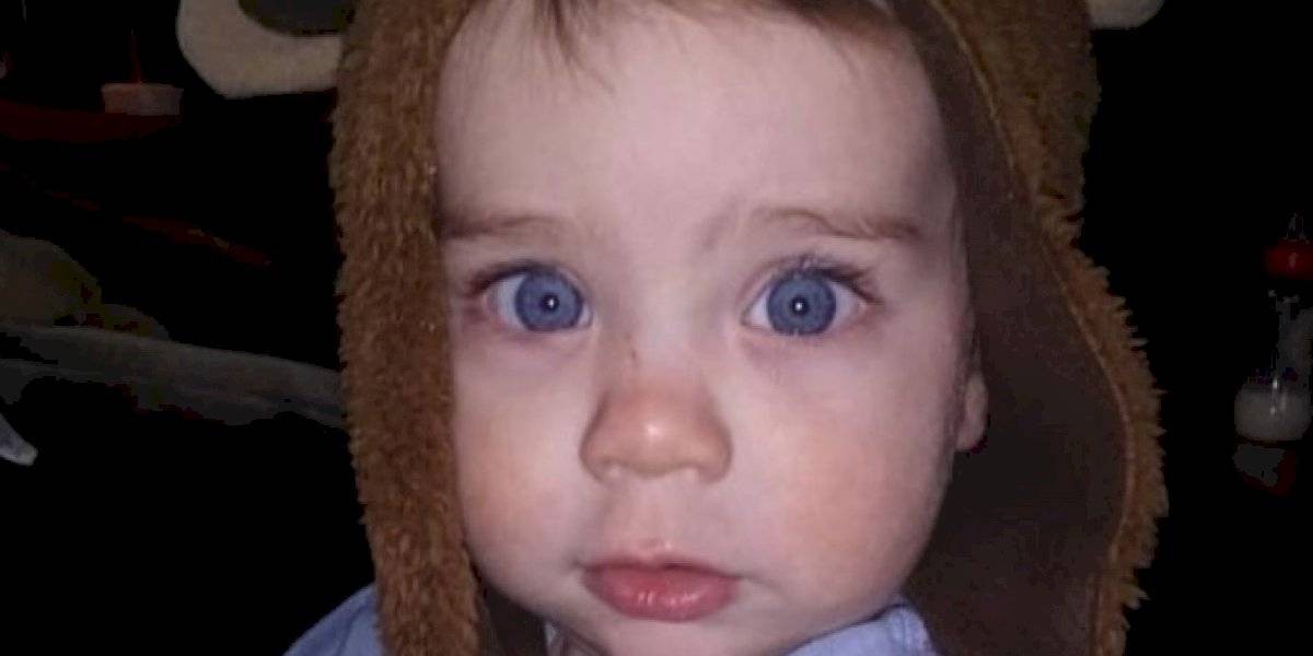 Un nene de 2 años intentó salvar a su perro de un incendio: ambos murieron abrazados | Internacionales