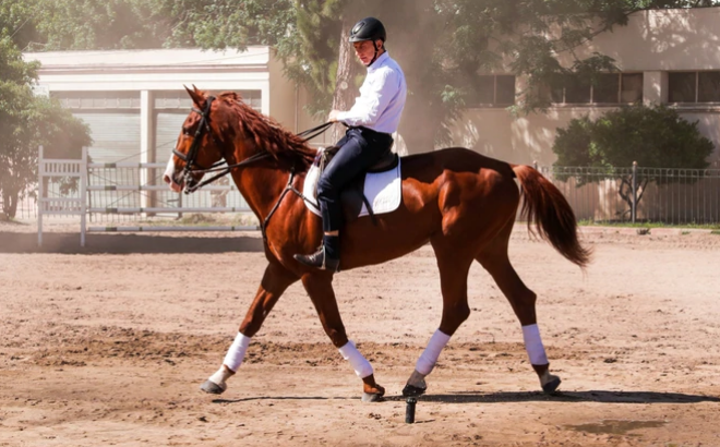 Macri montó un caballo y se despidió de su escolta de Granaderos | Política